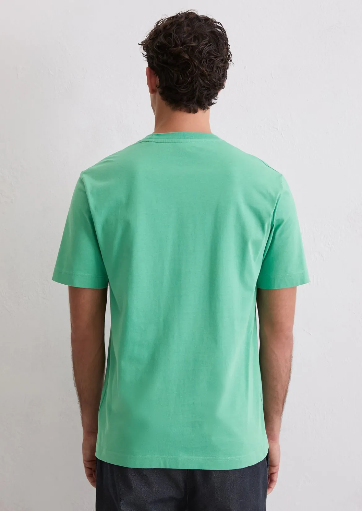 Basic-T-Shirt regular aus reiner Bio-Baumwolle