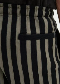 DfC Jerseyshorts regular mit Farb-und Struktur-Streifen