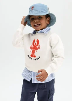 KIDS-BOYS Sweatshirt aus reinem Organic Cotton