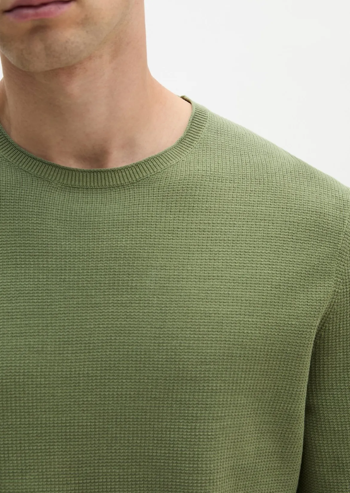 Pullover regular aus reiner Bio-Baumwolle