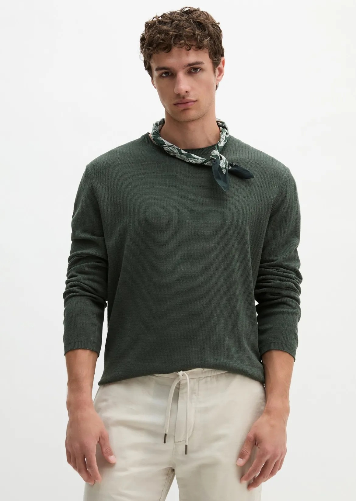 Pullover regular aus reiner Bio-Baumwolle