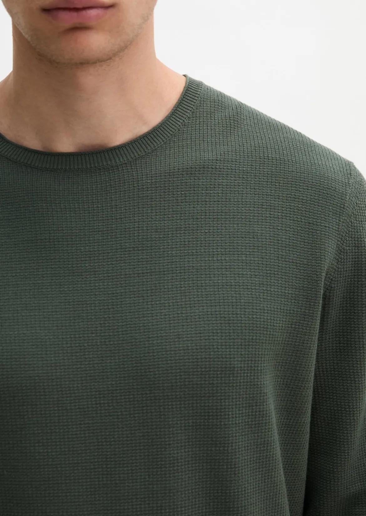 Pullover regular aus reiner Bio-Baumwolle