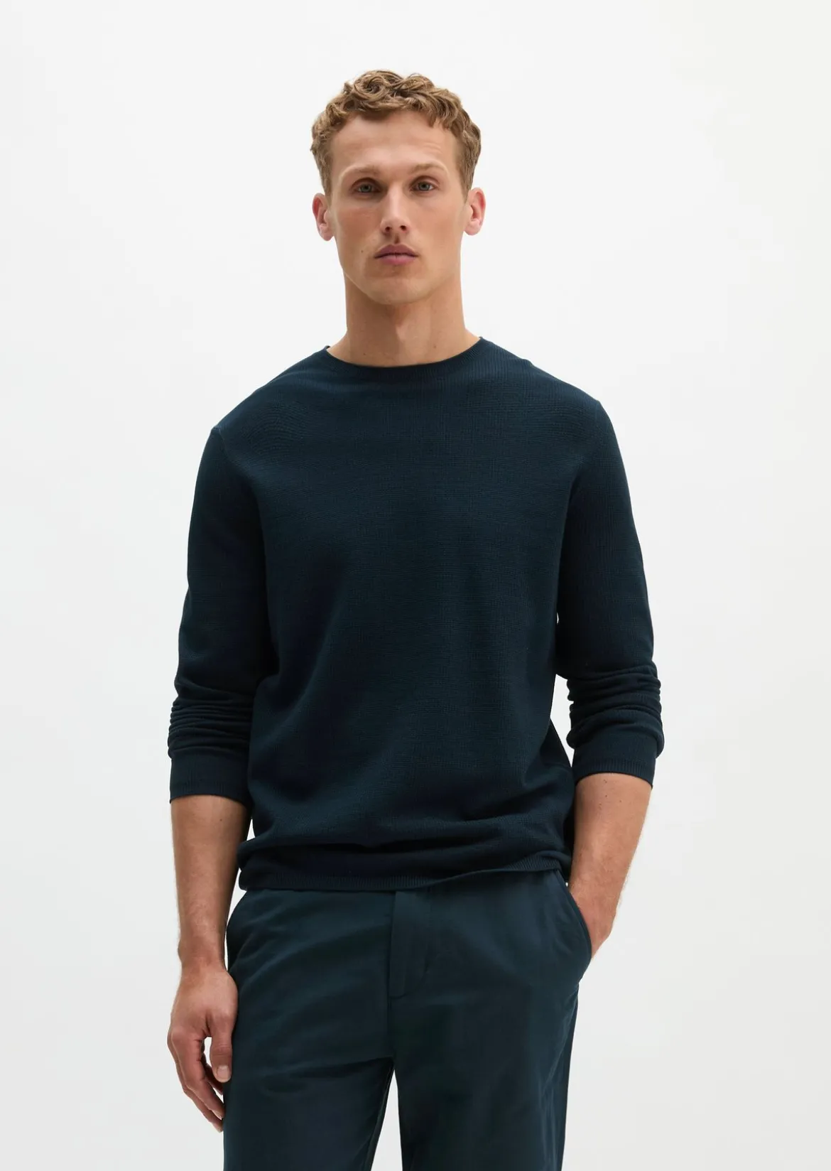 Pullover regular aus reiner Bio-Baumwolle