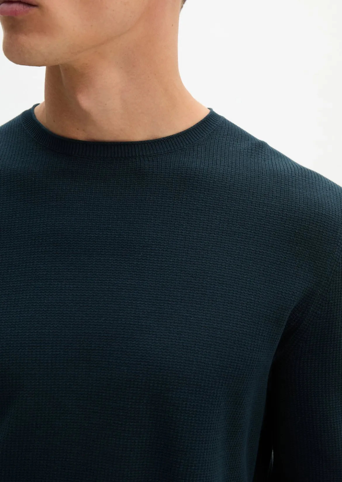 Pullover regular aus reiner Bio-Baumwolle