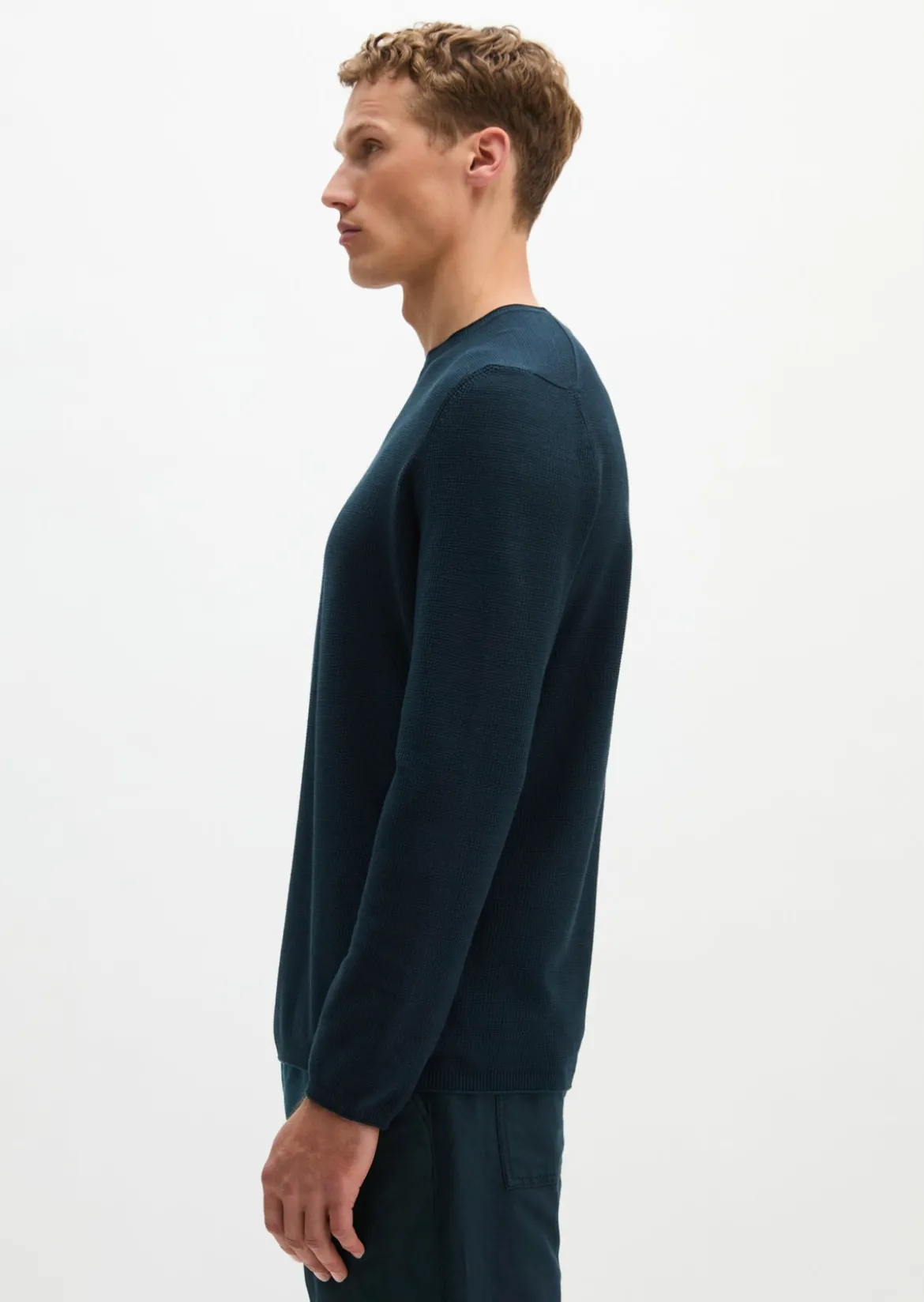 Pullover regular aus reiner Bio-Baumwolle