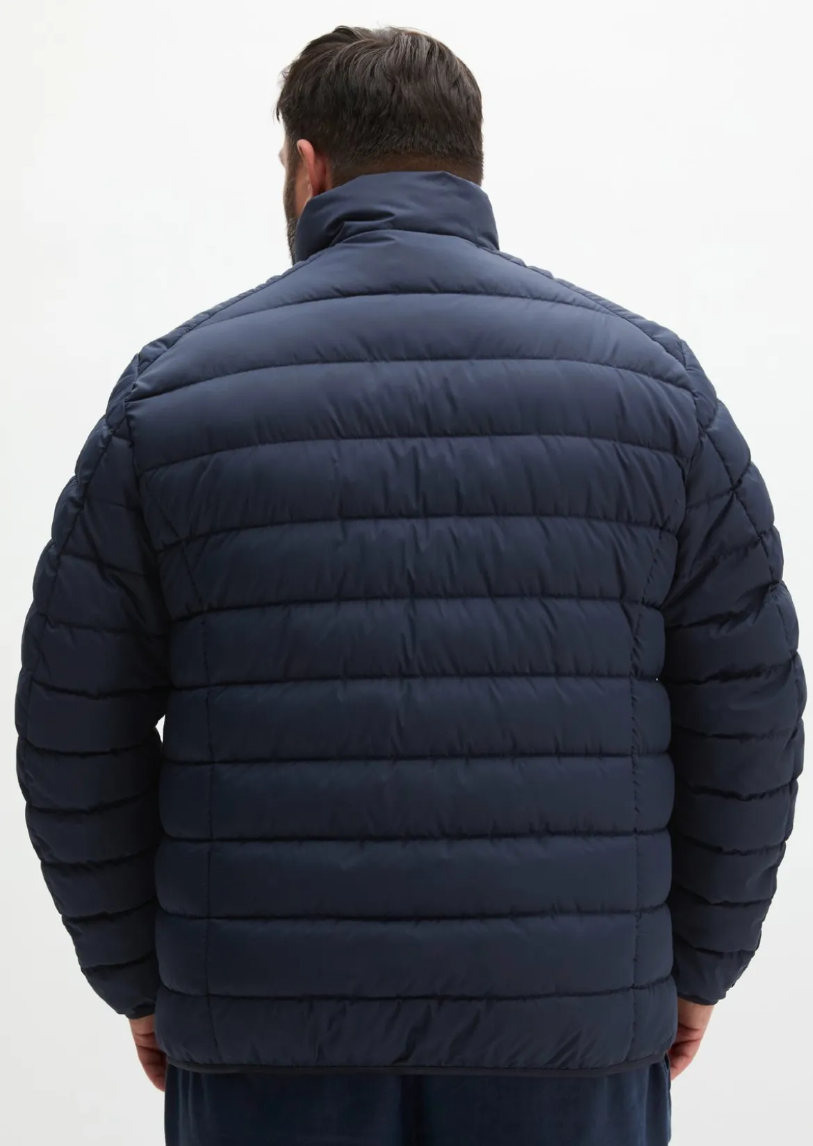Steppjacke regular in leichter, wasserabweisender Qualität