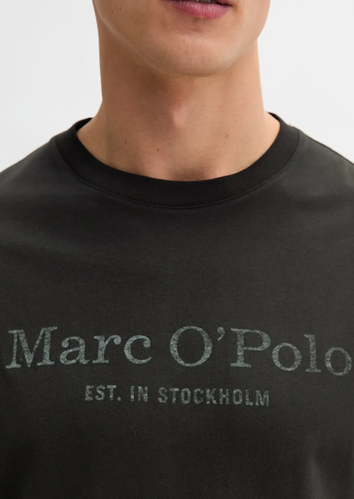 T-Shirt regular aus Organic Cotton